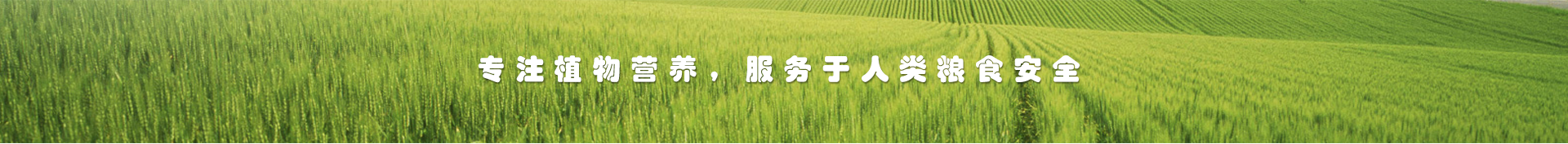 海藻肥廠家,特種肥料,功能性肥料